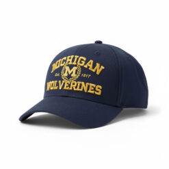 Dave Portnoy Michigan Wolverines Hat