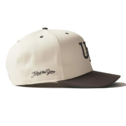 Lebron James Mind The Game UN Hat