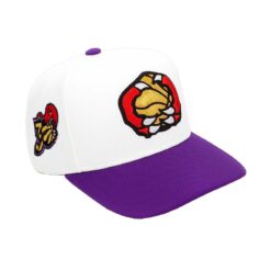 Toronto Raptors Retro th Anniversary Hat