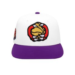 Toronto Raptors Retro th Anniversary Hat